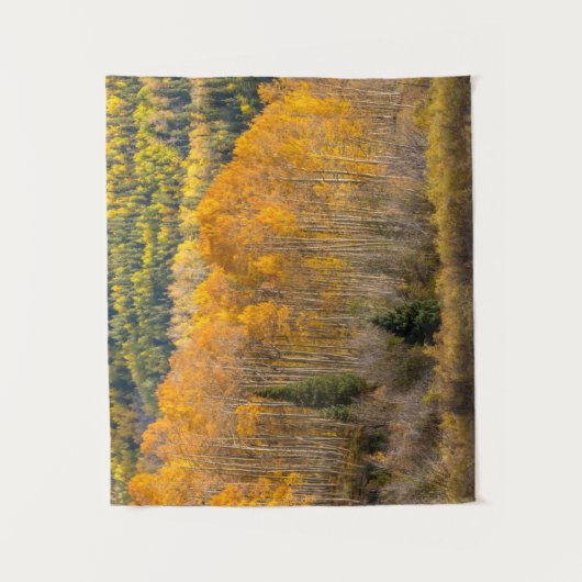 Gunnison National Forest Wandteppich (Vorderseite)