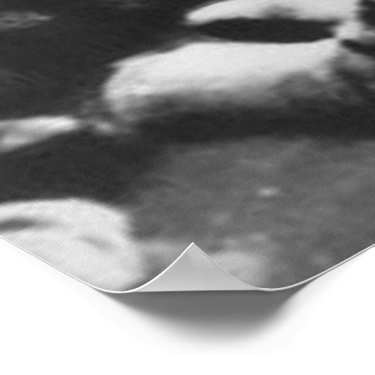 Gunther Gebel-Williams 1969 Poster (Ecke)