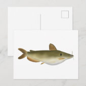 Günther's Catfish Postkarte (Vorne/Hinten)