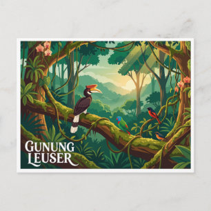 Gunung Leuser Nationalpark Bukit Lawang Indonesien Postkarte