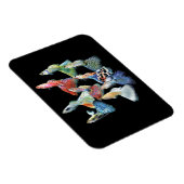 Guppies Magnet (Rechte Seite)
