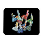 Guppies Magnet (Horizontal)