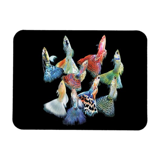 Guppies Magnet (Horizontal)