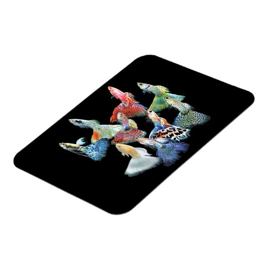 Guppies Magnet (Linke Seite)