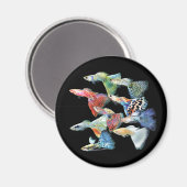 Guppies Magnet (Vorderseite/Rückseite)