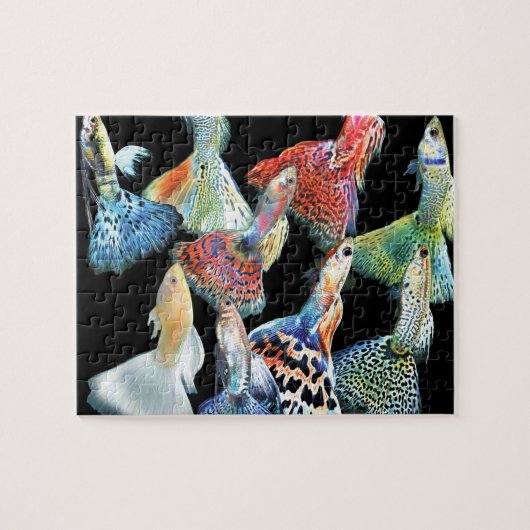 Guppies Puzzle (Horizontal)