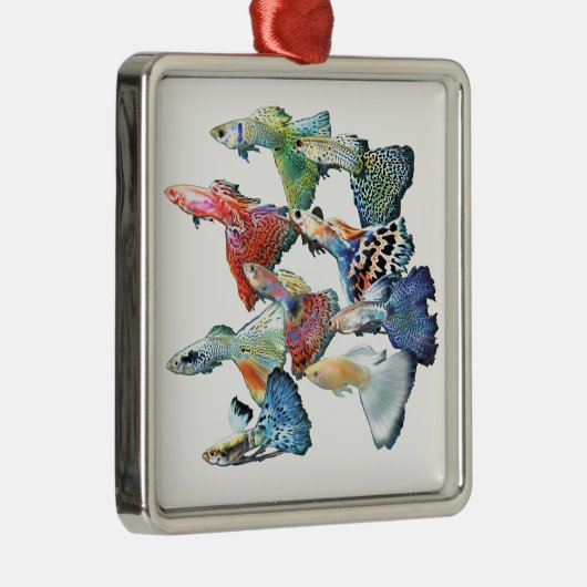 Guppies Silbernes Ornament (Rechts)