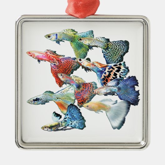 Guppies Silbernes Ornament (Vorne)