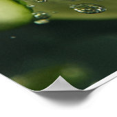GURKE #1 POSTER (Ecke)