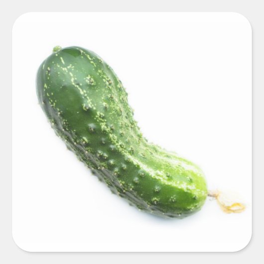 Gurke Quadratischer Aufkleber (Vorderseite)