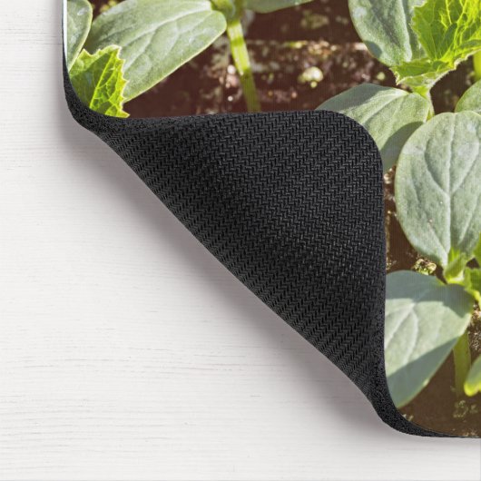Gurken Mousepad (Ecke)