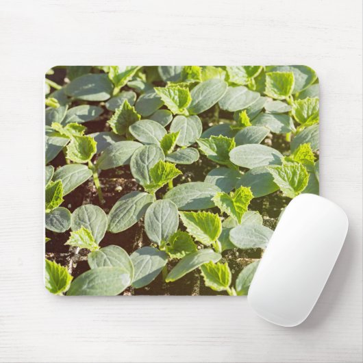 Gurken Mousepad (Mit Mouse)
