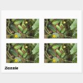 Gurken-Pflaster-Aufkleber Rechteckiger Aufkleber (Blatt)