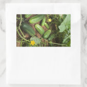 Gurken-Pflaster-Aufkleber Rechteckiger Aufkleber (Tasche)