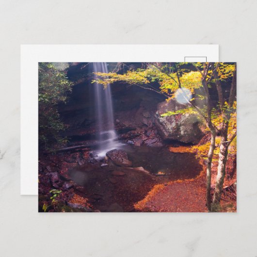 Gurkenfälle, Ohiopyle Staat Park, Pennsylvania Postkarte (Vorne/Hinten)