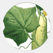 Gurkenkuppel Art Sticker 1 (Vorderseite)