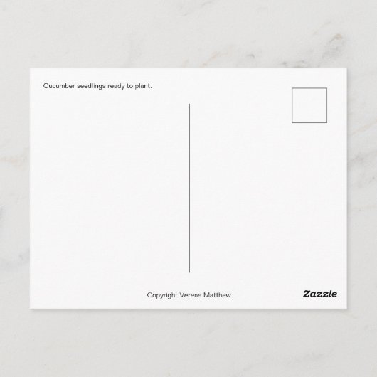 Gurkensamen Postkarte (Rückseite)