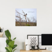 Gürtel-Eisvogel-Fotoplakat Poster (Heimbüro)