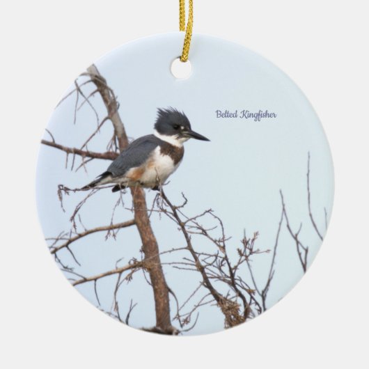 Gürtel-Eisvogel-Vogel-Ornament Keramik Ornament (Vorne)