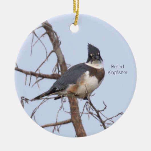 Gürtel-Eisvogel-Vogelornament  Keramik Ornament (Vorne)