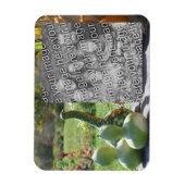 Gürtel und Kürbis fallen Ihr Foto Magnet (Vertikal)