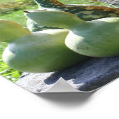 Gürtel und Kürbis fallen Ihr Foto Poster (Ecke)