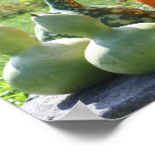 Gürtel und Kürbisgewächse Stand 2 Herbst Poster (Ecke)