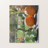 Gürtel und Kürbisgewächse Stand 2 Herbst Puzzle (Vertikal)