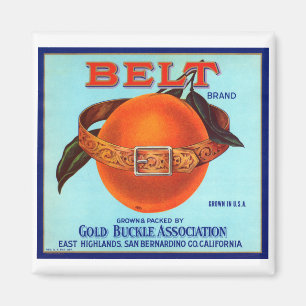 Gürtelmarke Kalifornische Orangen Magnet