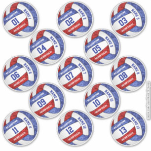 Gürtelrose-blaue Volleyballspieler-Namen Aufkleber