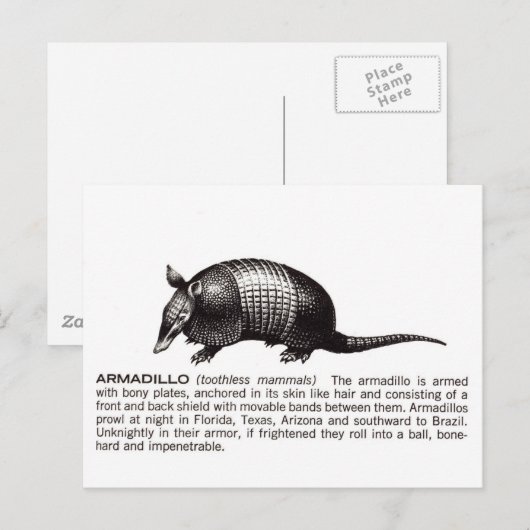 Gürtelrose Postkarte (Vorne/Hinten)