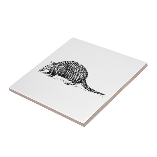 Gürteltier Fliese (Seite)