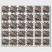 Gürteltier Geschenkpapier (Flach)