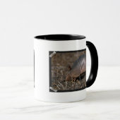 Gürteltier-Lebensraum-Kaffee-Tasse Tasse (VorderseiteRechts)