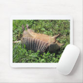Gürteltier-Straßen-Tötung - Dasypodidae Mousepad (Mit Mouse)