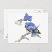 Gürteltier, Vogel, Natur, Wildtiere, Postkarte (Vorne/Hinten)