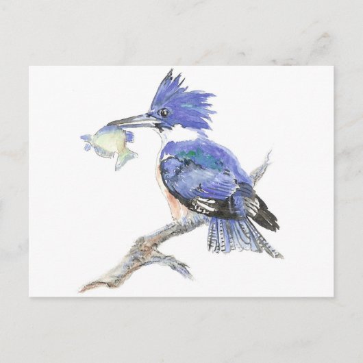 Gürteltier, Vogel, Natur, Wildtiere, Postkarte (Vorderseite)