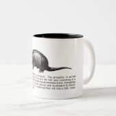 Gürteltier Zweifarbige Tasse (VorderseiteRechts)