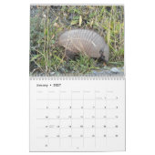 Gürteltiere Kalender (Jan 2027)
