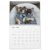 Gus Gus im Kalender der Stadt 2022 (Mär 2026)