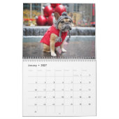 Gus Gus im Kalender der Stadt 2022 (Jan 2027)