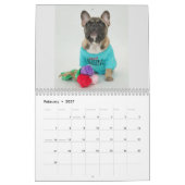 Gus Gus im Kalender der Stadt 2022 (Feb 2027)