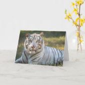 Gus - Karte - individueller Gruß (Gelbe Blume)