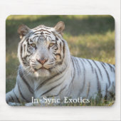 Gus - mousepad (Vorne)