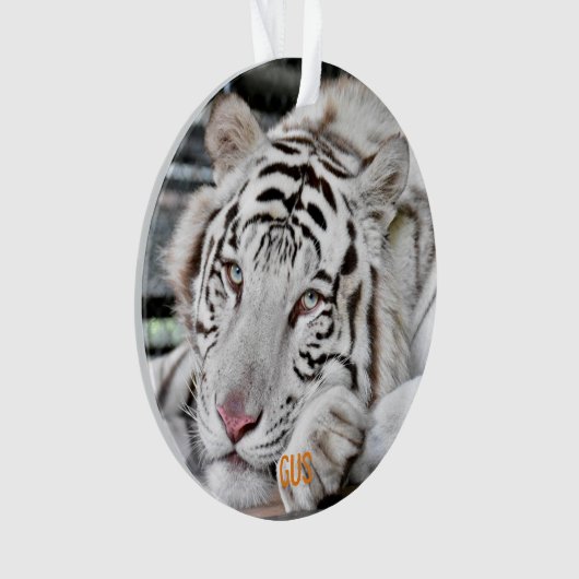 Gus - ornament (Vorderseite)