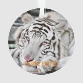 Gus - ornament (Rückseite)