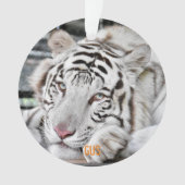 Gus - ornament (Vorderseite)