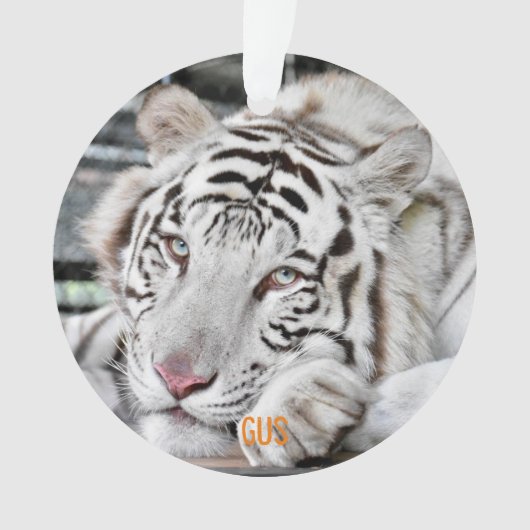Gus - ornament (Vorderseite)