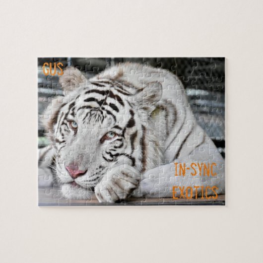 Gus - puzzle (Horizontal)