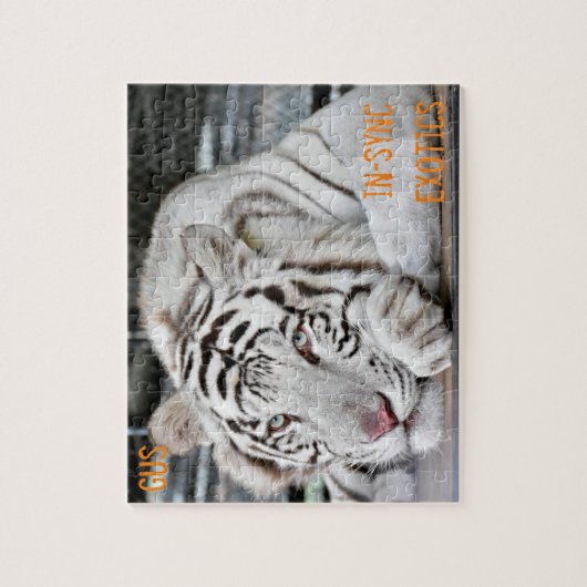 Gus - puzzle (Vertikal)